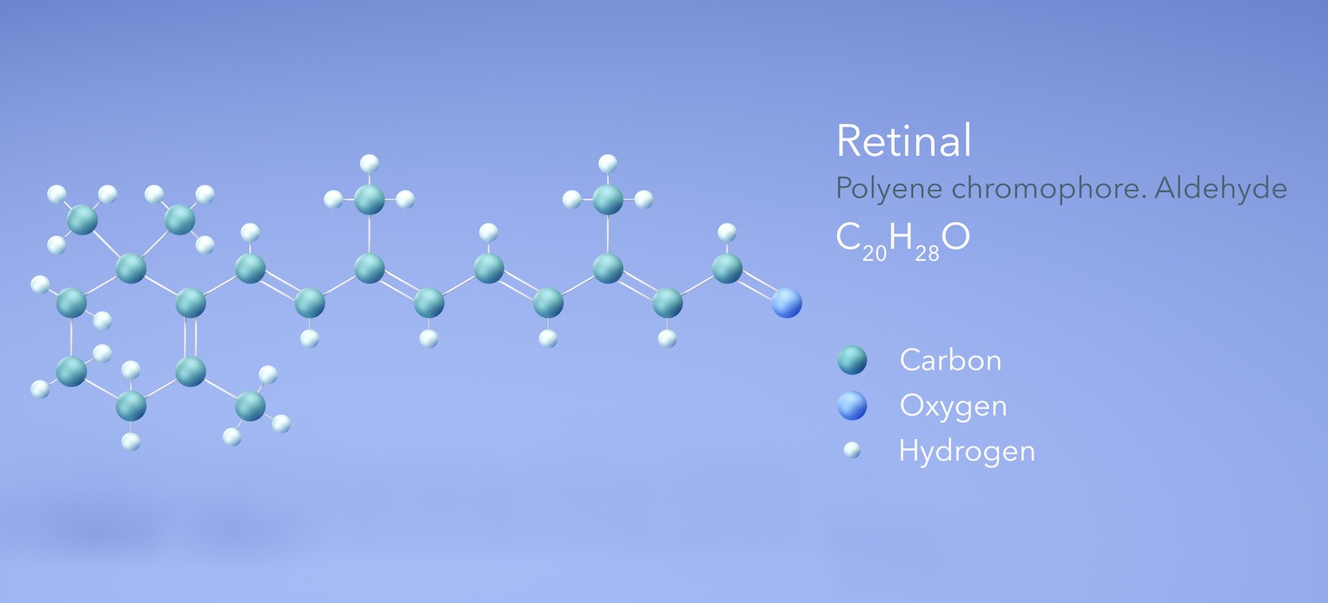 Retinol ist eine chemische Vorstufe von Retinal